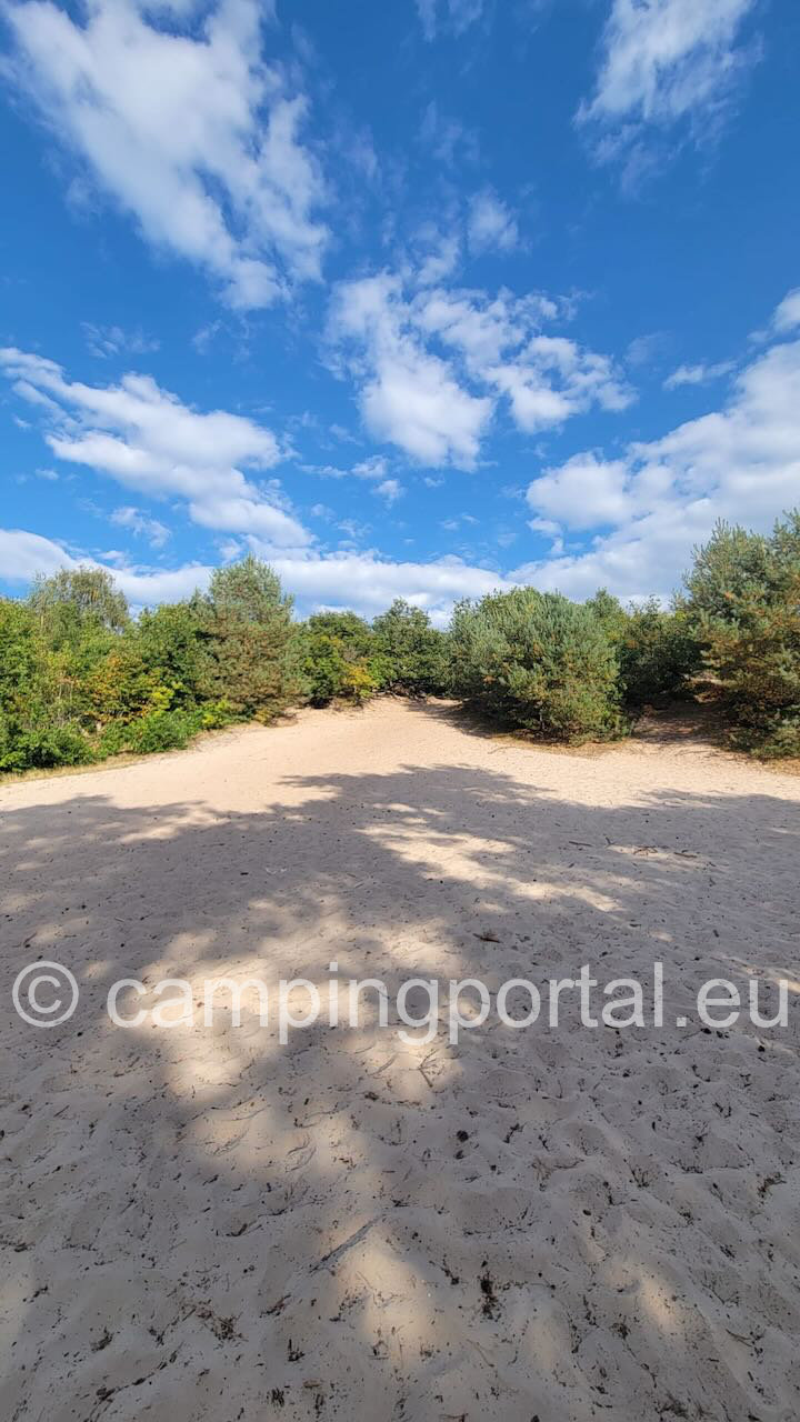 ce22d684 2025 461d 9d23 a617abf379c3