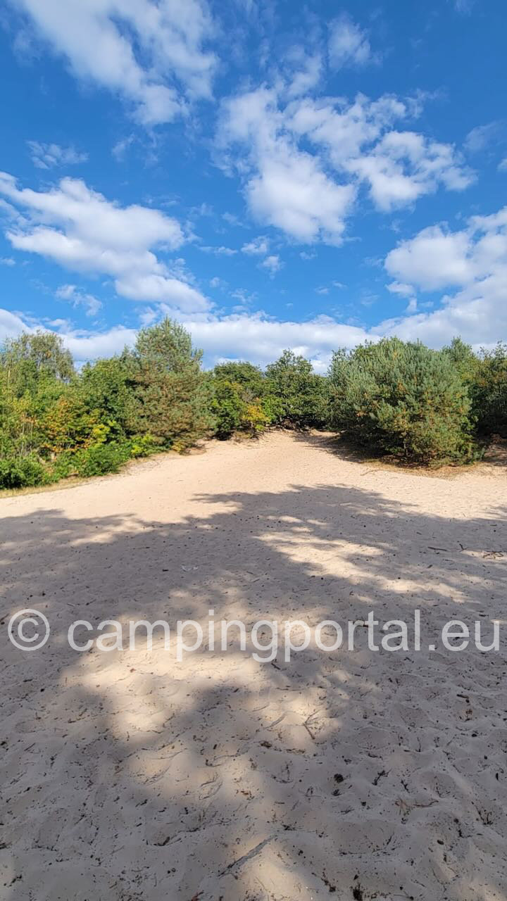 d922fe3a 9f27 4c97 a1d0 871ac1575da3