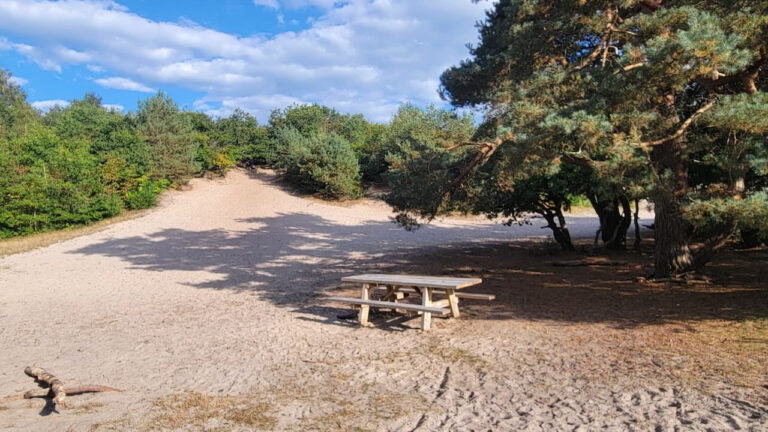 fc6b814a 3c9b 404b bf8d 54a93290d803 768x432