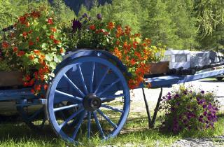 Camping Les Mélèzes Onlycamp - Bild 1 Camping Les Mélèzes Onlycamp - Bild 1