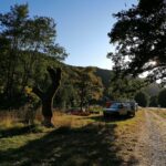 Domaine D'haulmé - Bild 1