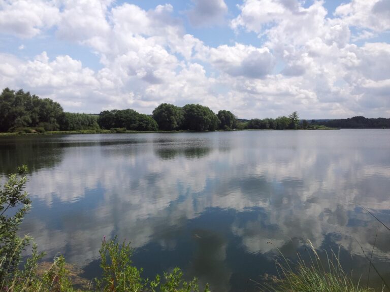 Camping Seasonova Les Marguerites - Bild 1