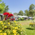 Camping De Spaendershorst - Bild 1 Camping De Spaendershorst - Bild 1