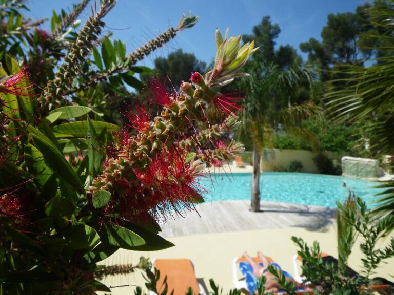 Camping Ceyreste - Bild 1 Camping Ceyreste - Bild 1