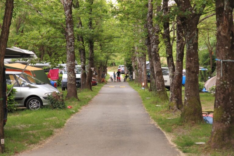 Les Actinidias - Bild 1