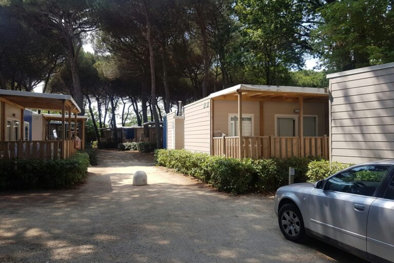 Adriano Family Collection - Bild 10