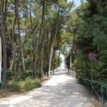 Adriano Family Collection - Bild 13