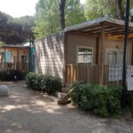 Adriano Family Collection - Bild 5