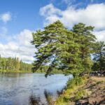 Älvdalens Camping - Bild 3