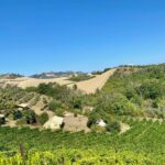 Agriturismo Angeli Sognanti - Bild 1