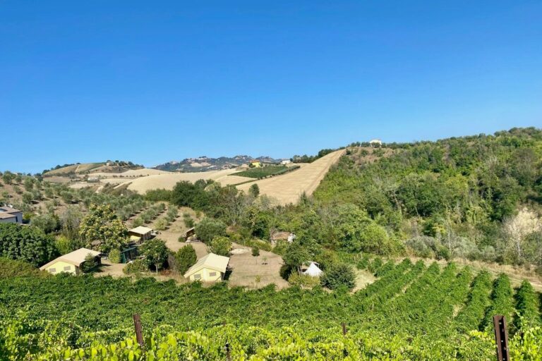 Agriturismo Angeli Sognanti - Bild 1