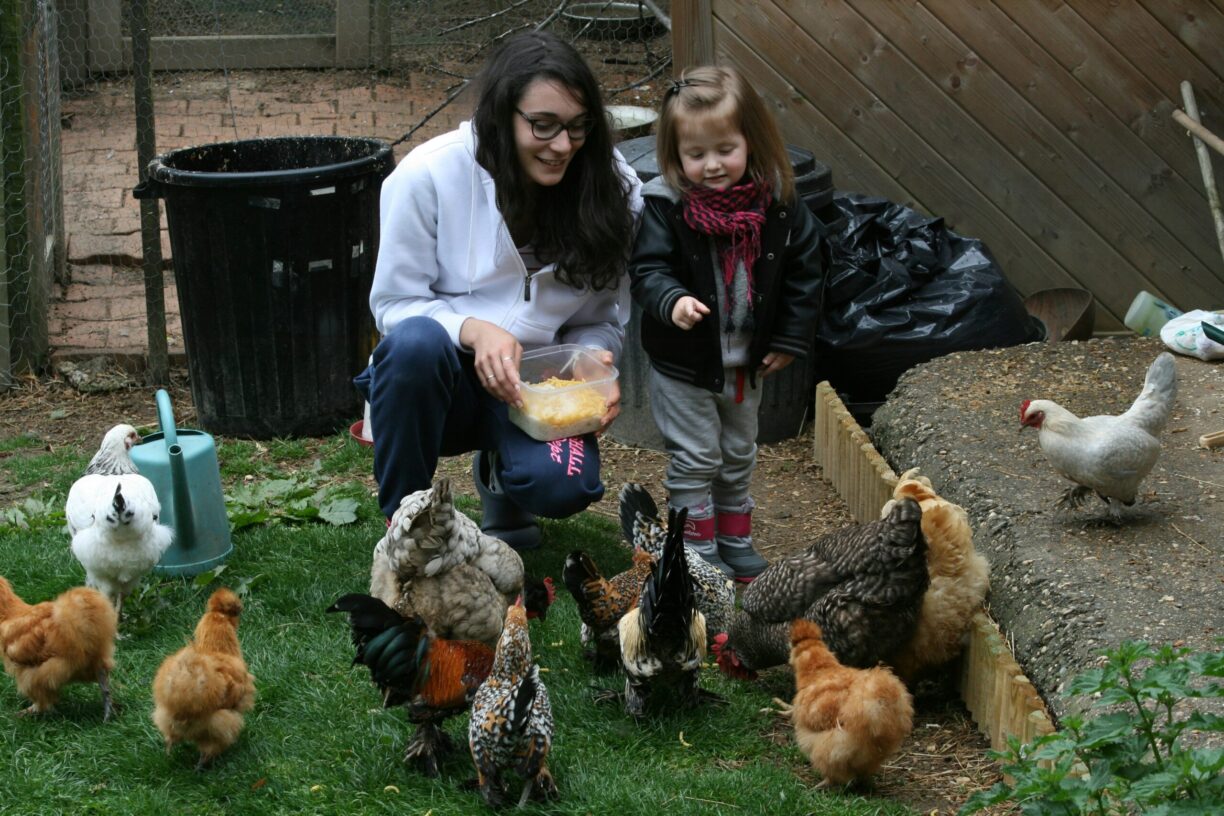 Aire Naturelle De Camping Les Cerisiers - Bild 11 Aire Naturelle De Camping Les Cerisiers - Bild 11