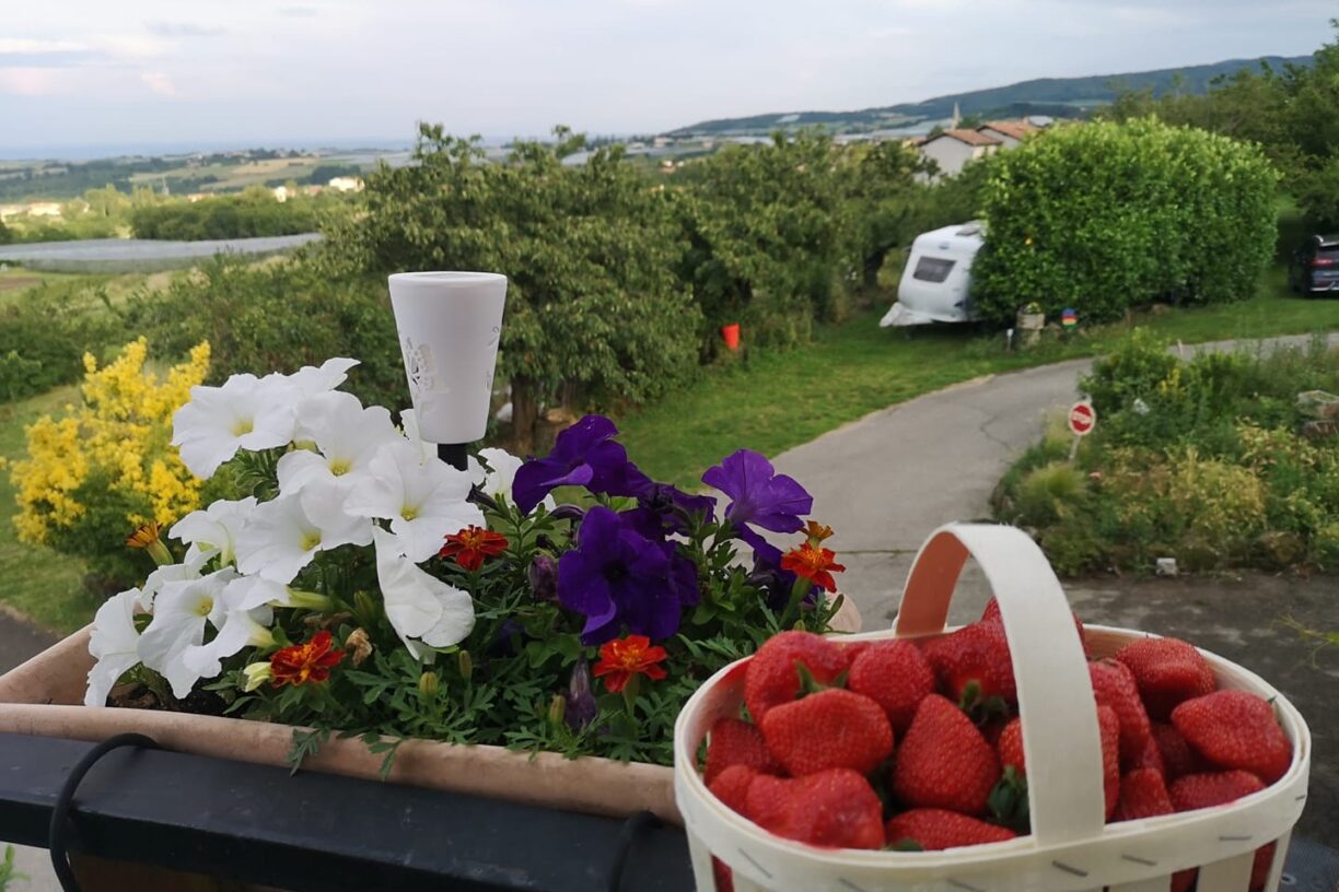 Aire Naturelle De Camping Les Cerisiers - Bild 12 Aire Naturelle De Camping Les Cerisiers - Bild 12