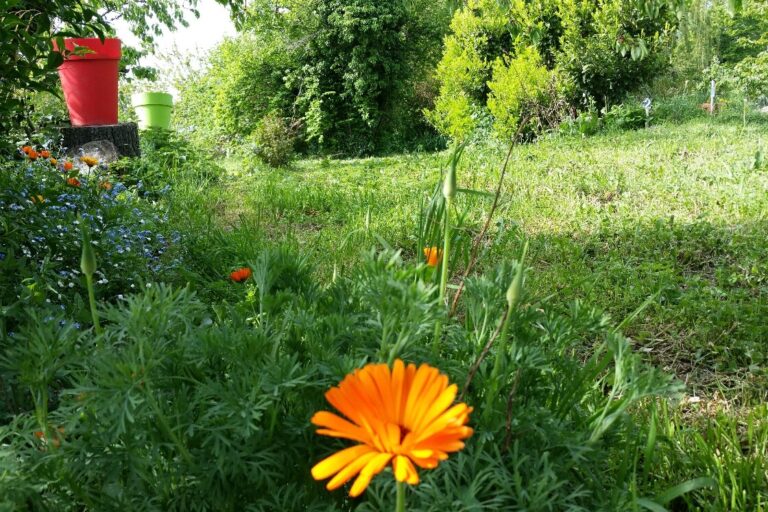 Aire Naturelle De Camping Les Cerisiers - Bild 13 Aire Naturelle De Camping Les Cerisiers - Bild 13