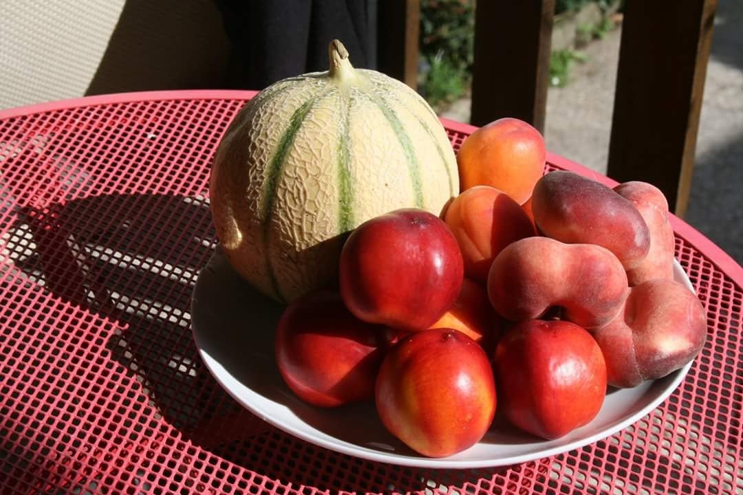 Aire Naturelle De Camping Les Cerisiers - Bild 14 Aire Naturelle De Camping Les Cerisiers - Bild 14