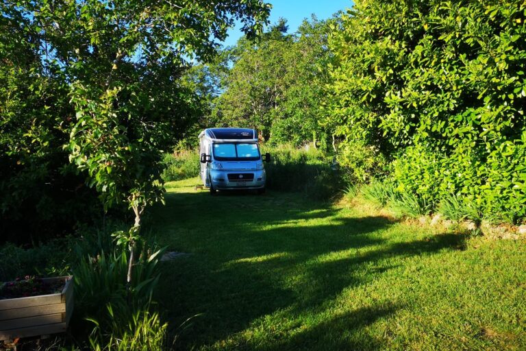 Aire Naturelle De Camping Les Cerisiers - Bild 5 Aire Naturelle De Camping Les Cerisiers - Bild 5