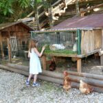 Aktiv Camp Purgstall - Bild 2