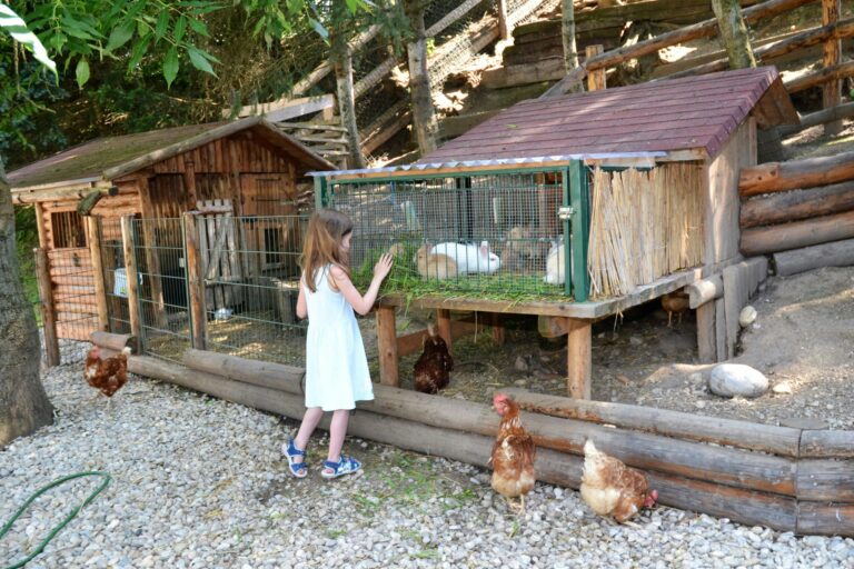 Aktiv Camp Purgstall - Bild 2