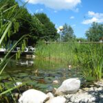 Aktiv Camp Purgstall - Bild 4