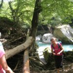 Aktiv Camp Purgstall - Bild 5