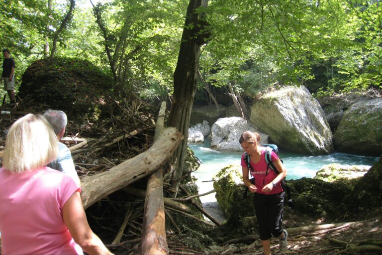 Aktiv Camp Purgstall - Bild 5