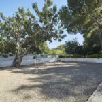 Alannia Costa Dorada - Bild 14