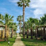 Alannia Els Prats - Bild 1