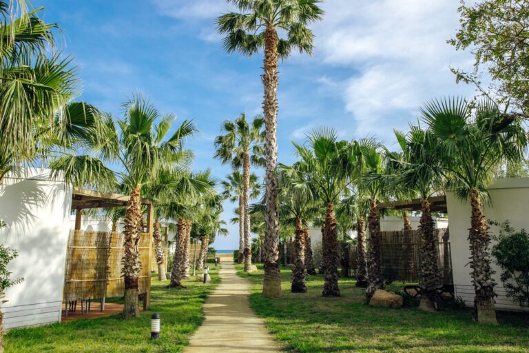 Alannia Els Prats - Bild 1 Alannia Els Prats - Bild 1