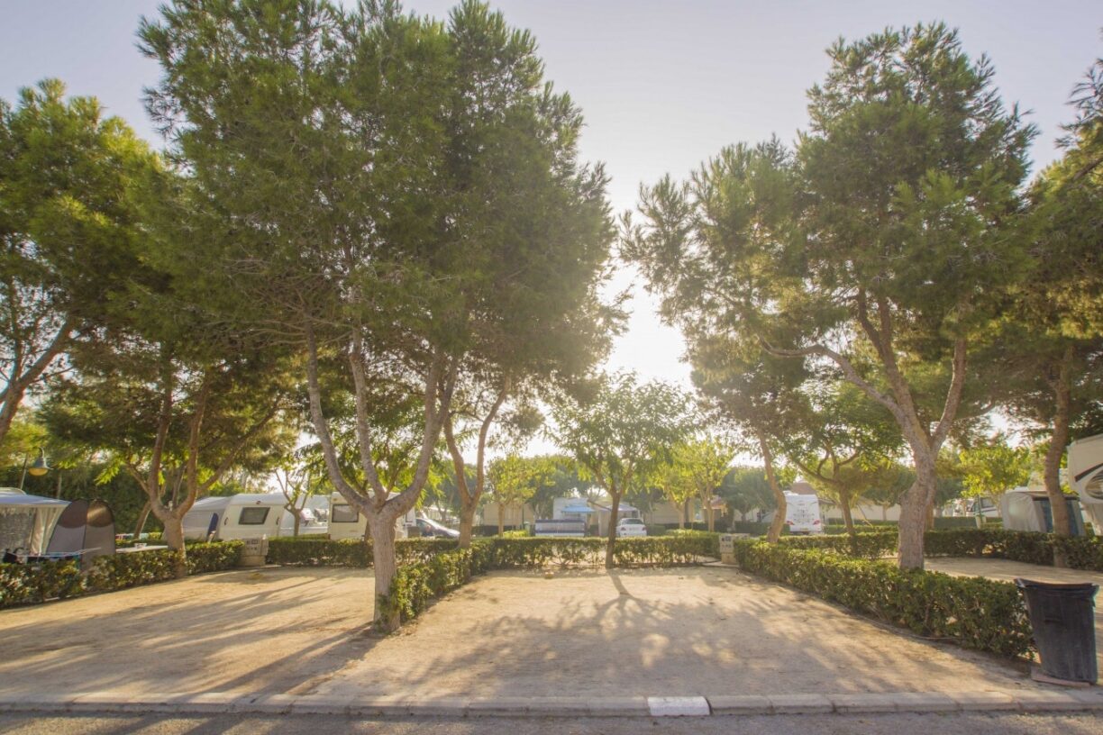 Alannia Guardamar - Bild 12 Alannia Guardamar - Bild 12