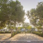 Alannia Guardamar - Bild 12 Alannia Guardamar - Bild 12