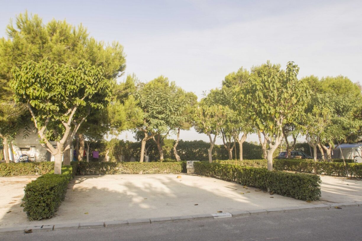 Alannia Guardamar - Bild 13 Alannia Guardamar - Bild 13