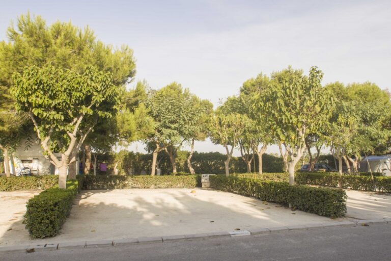 Alannia Guardamar - Bild 13 Alannia Guardamar - Bild 13