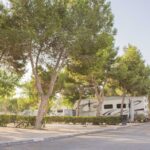 Alannia Guardamar - Bild 1 Alannia Guardamar - Bild 1