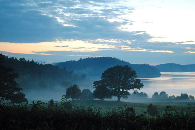 Anfasteröd Gårdsvik - Bild 1 Anfasteröd Gårdsvik - Bild 1