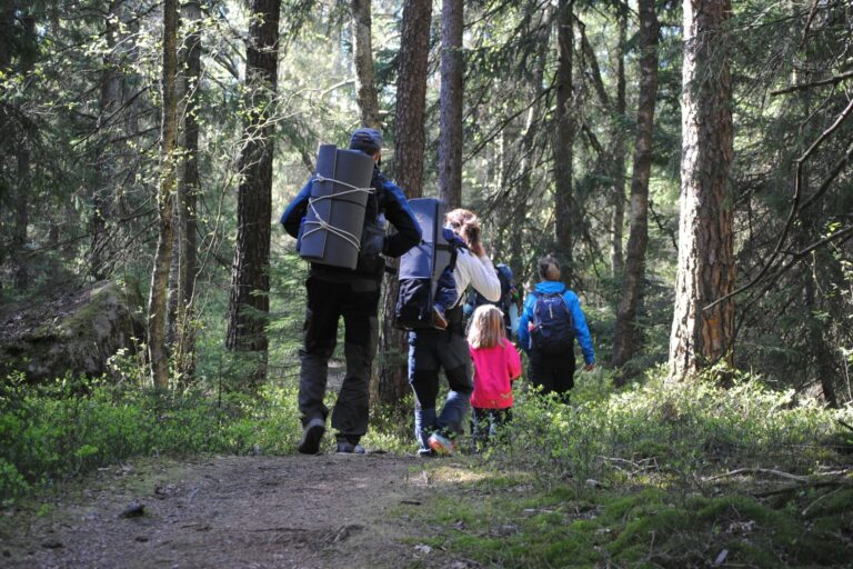 Anfasteröd Gårdsvik - Bild 11