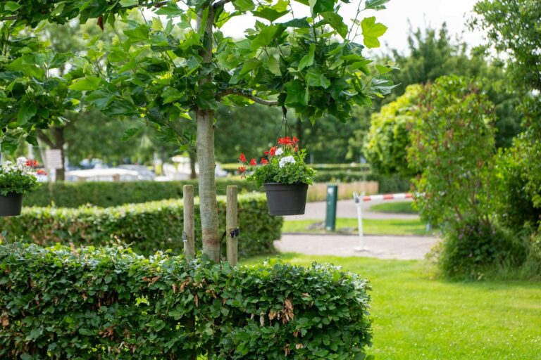 Aquacamping En Jachthaven De Rakken - Bild 4