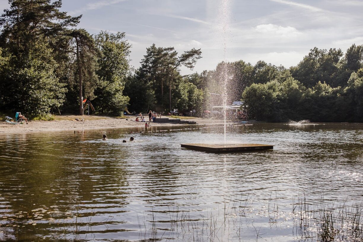 Arden Parks Baalse Hei - Bild 4 Arden Parks Baalse Hei - Bild 4