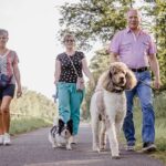 Arden Parks Baalse Hei - Bild 8 Arden Parks Baalse Hei - Bild 8