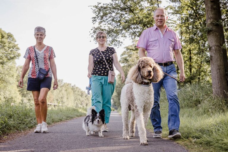 Arden Parks Baalse Hei - Bild 8 Arden Parks Baalse Hei - Bild 8