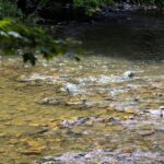 Arden Parks Durbuy - Bild 4 Arden Parks Durbuy - Bild 4