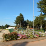 Arden Parks Tulderheyde - Bild 12 Arden Parks Tulderheyde - Bild 12