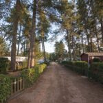 Arden Parks Tulderheyde - Bild 16 Arden Parks Tulderheyde - Bild 16