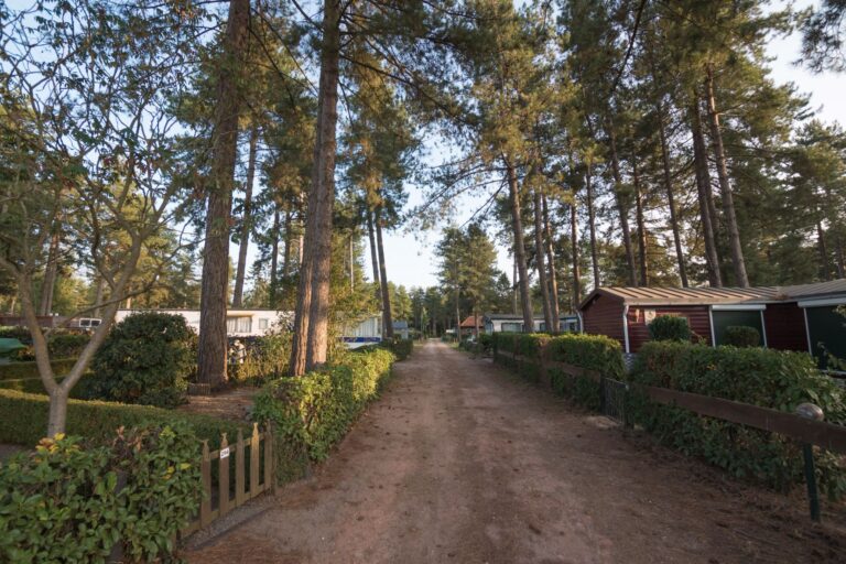 Arden Parks Tulderheyde - Bild 16 Arden Parks Tulderheyde - Bild 16