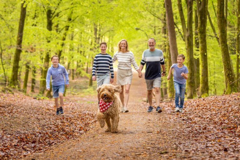 Ardennen Camping Bertrix - Bild 13