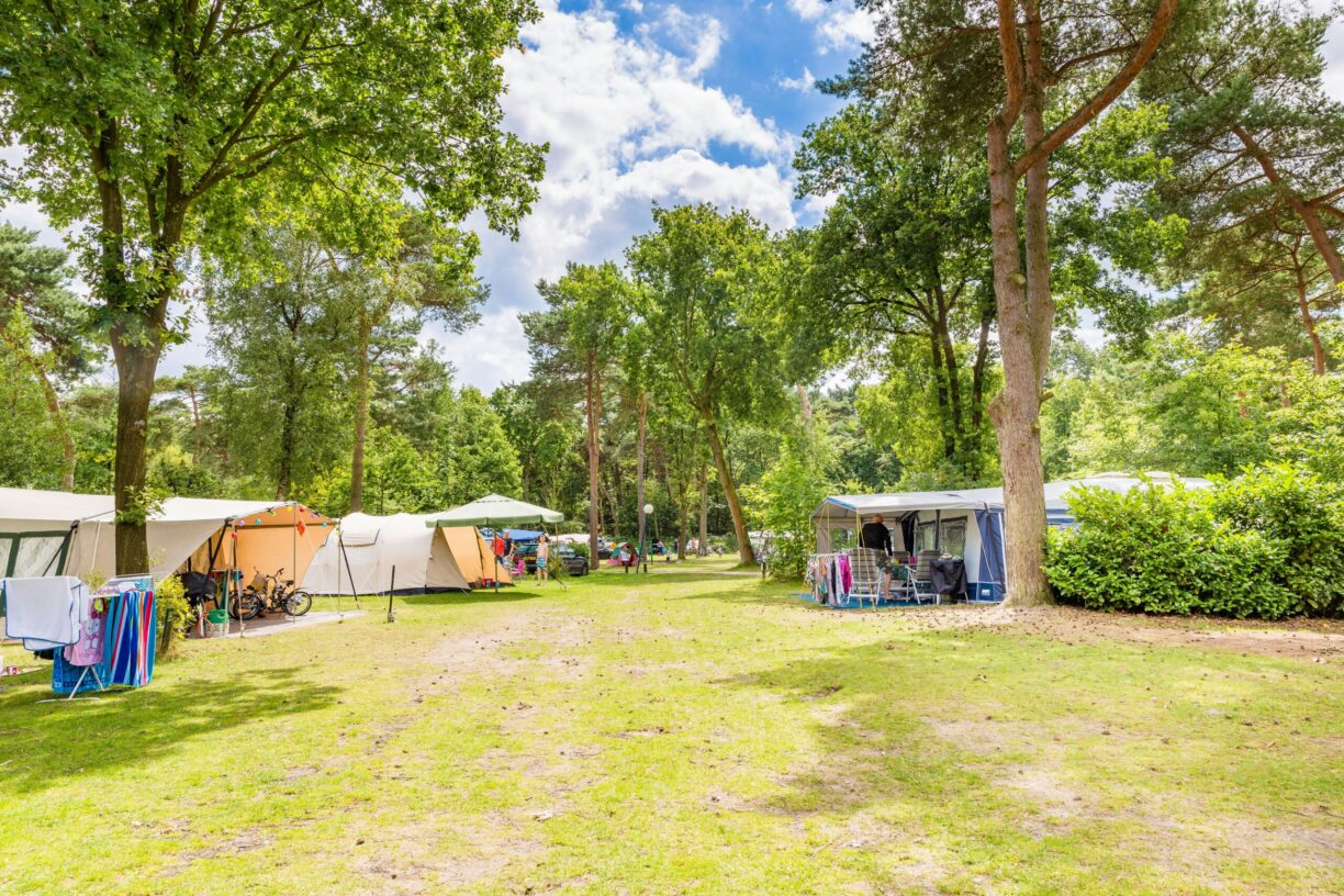 Ardoer Camping De Haeghehorst - Bild 12 Ardoer Camping De Haeghehorst - Bild 12