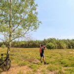 Ardoer Camping De Holterberg - Bild 9 Ardoer Camping De Holterberg - Bild 9