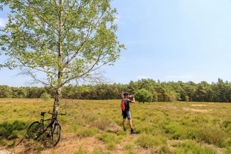 Ardoer Camping De Holterberg - Bild 9 Ardoer Camping De Holterberg - Bild 9