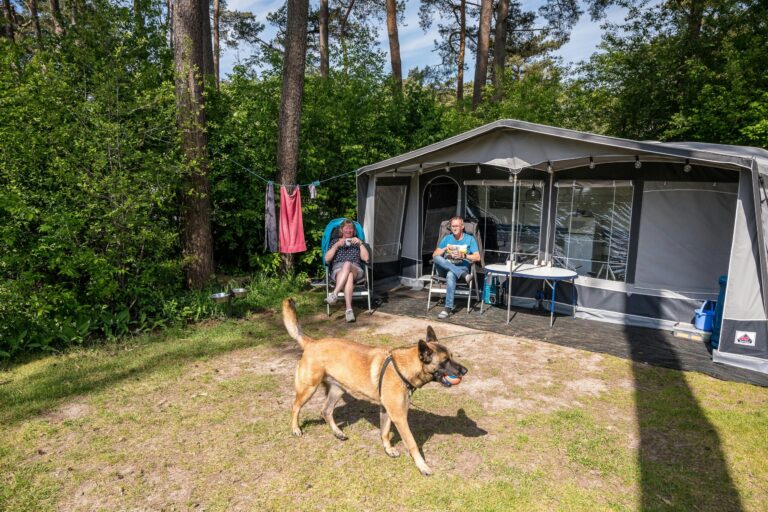 Ardoer Camping Diana Heide - Bild 18