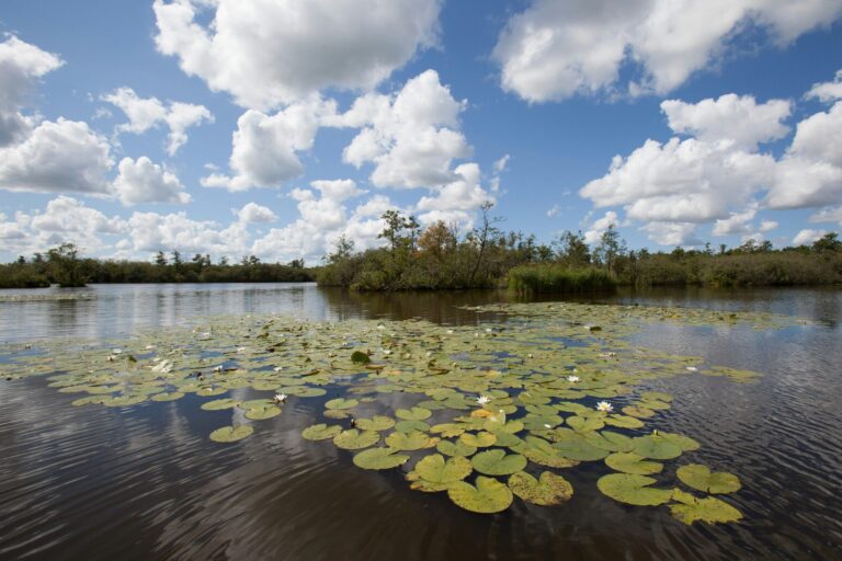 Ardoer Camping It Wiid - Bild 8 Ardoer Camping It Wiid - Bild 8