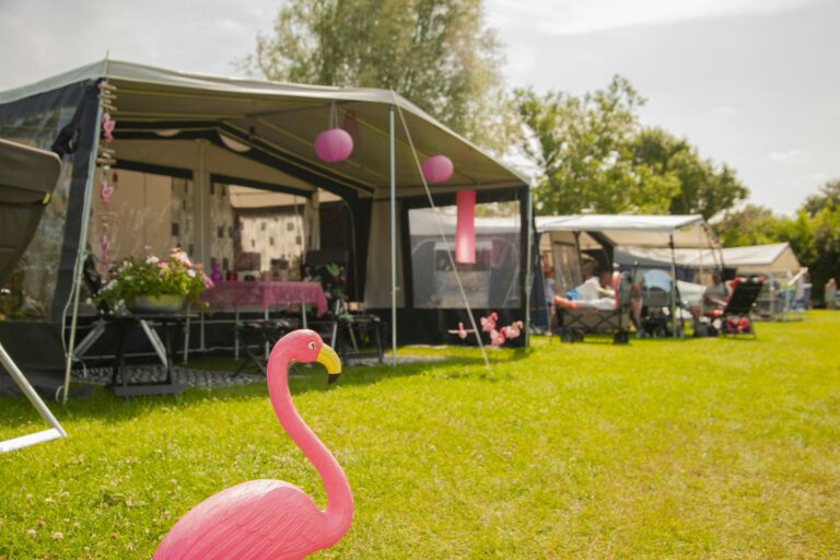 Ardoer Camping Zonneweelde - Bild 11